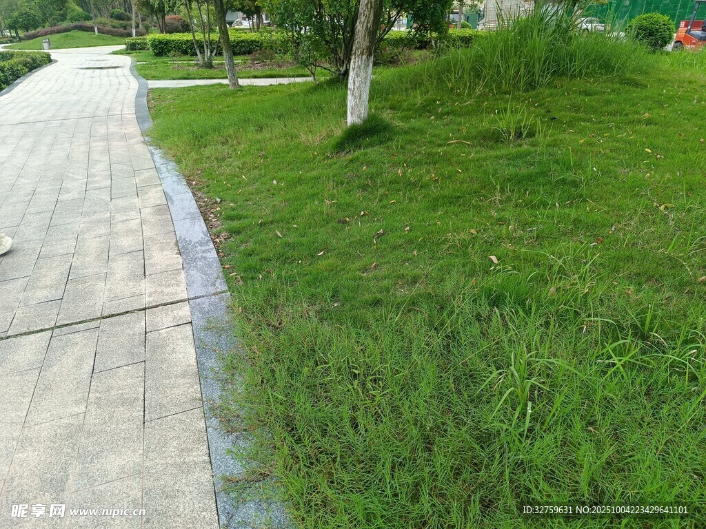 路邊翠綠草坪景觀