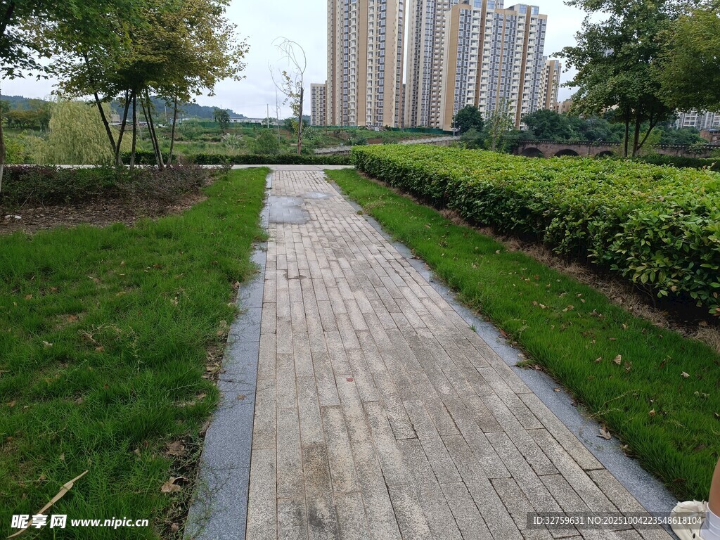 城市中的靜謐林蔭步道