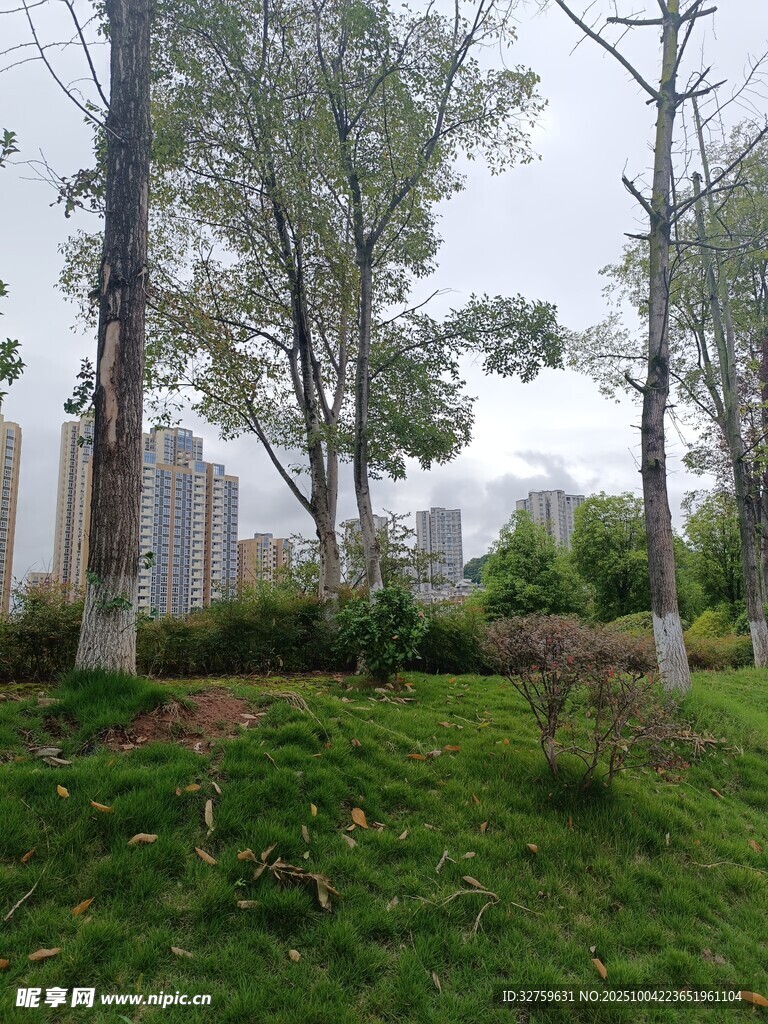 城市中的靜謐綠植景觀