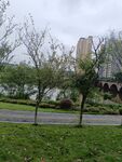 城市河畔公園綠意景致
