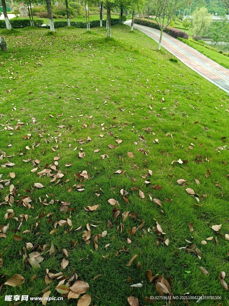 秋日草地 