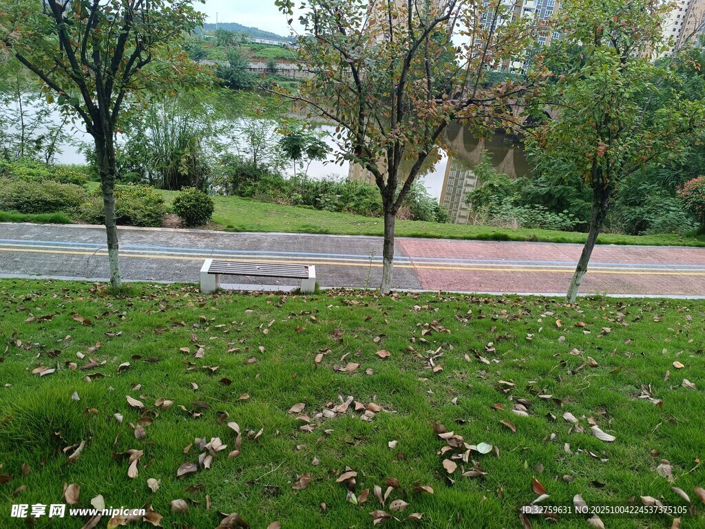 公園草地與步道秋日景致