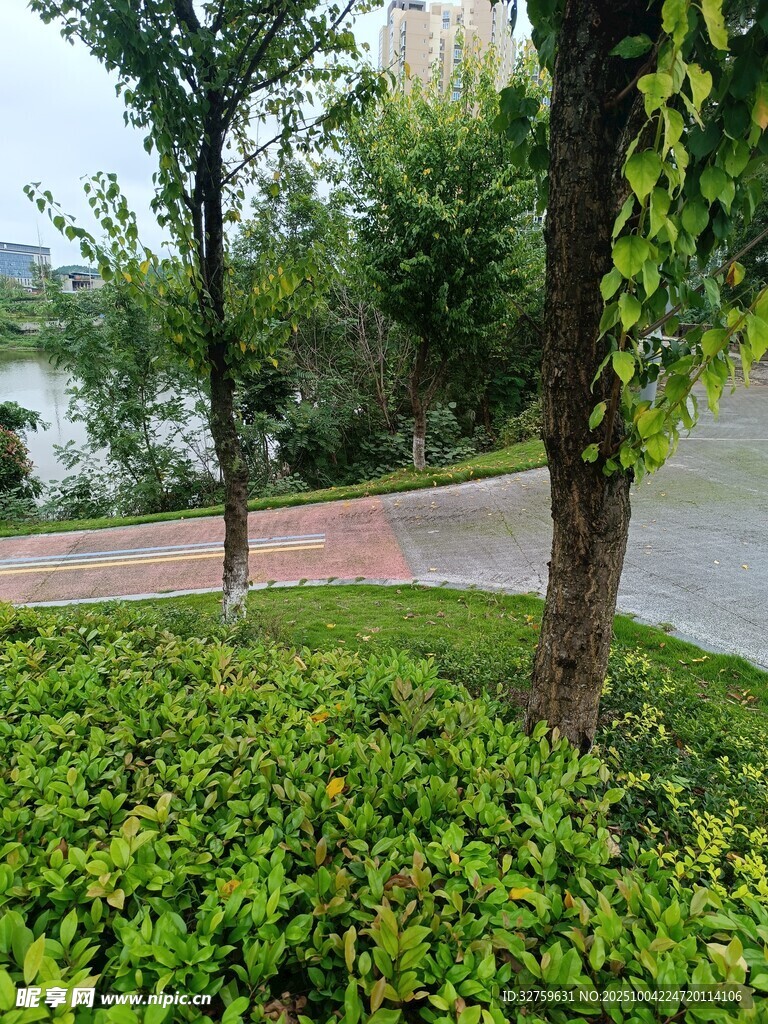 城市路邊綠意盎然的景致