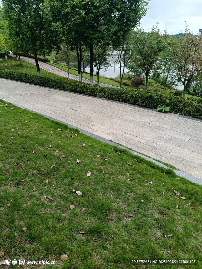 湖畔小徑旁的翠綠草地
