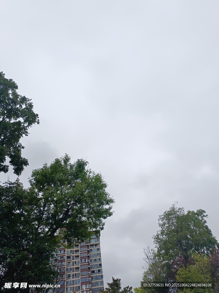 陰天中的綠樹與建筑物