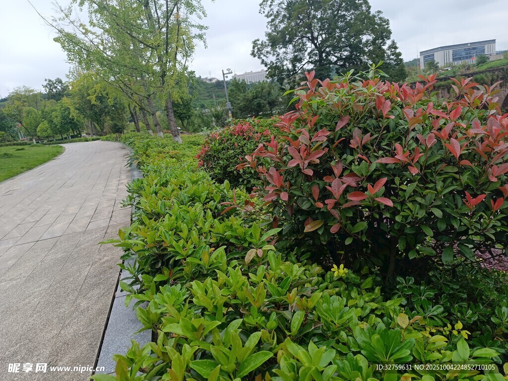 路邊多彩綠植景觀