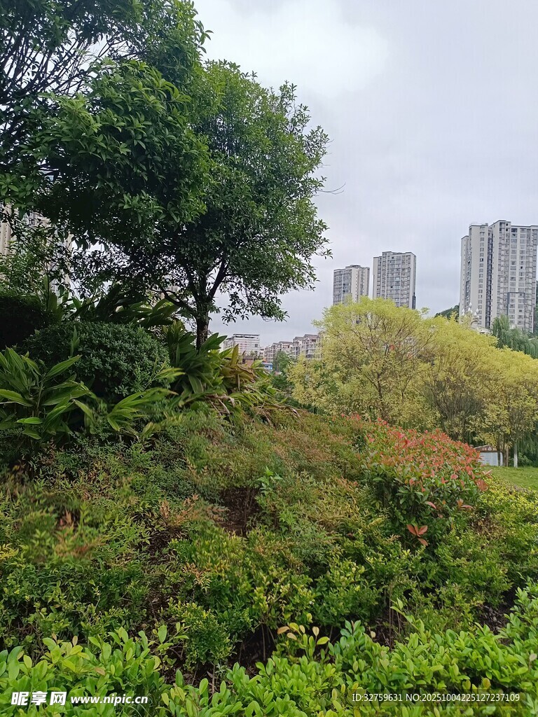 城市中的綠意盎然景觀