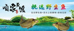 魚館 江魚 山水畫