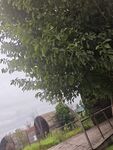 綠樹掩映下的古樸小屋