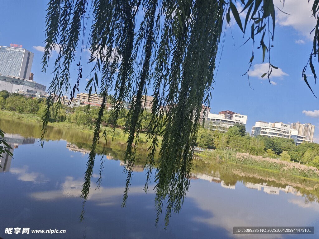湖畔垂柳藍天碧水景致美