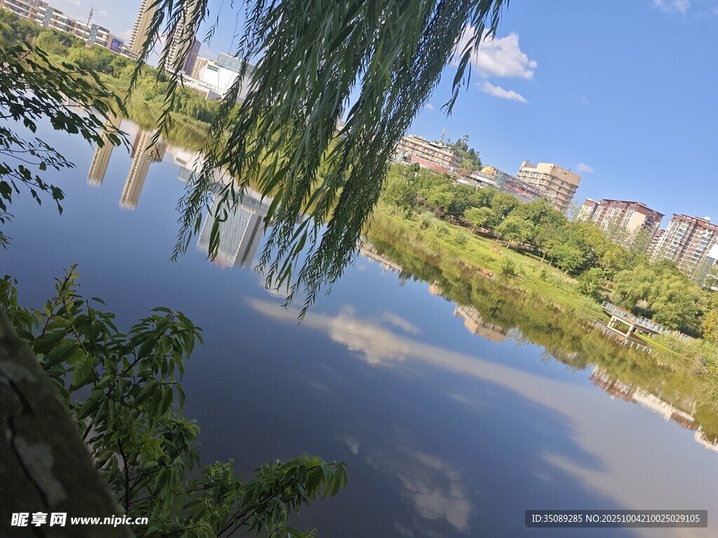 湖畔垂柳映藍天美景