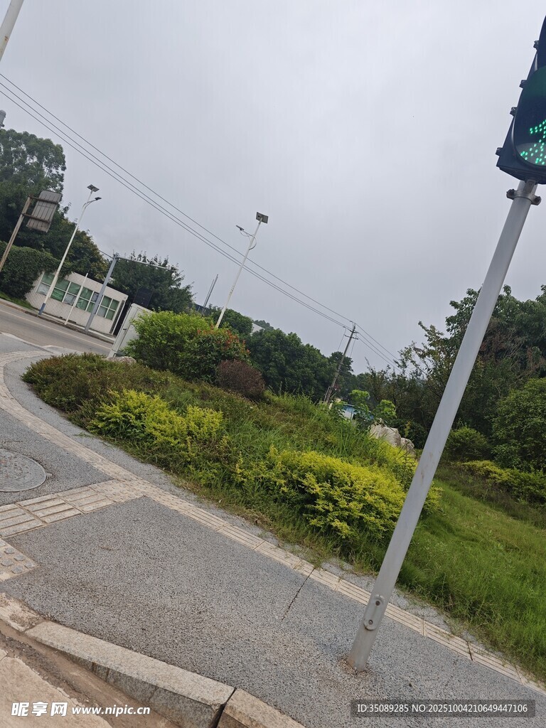 城市道路旁的綠植景觀
