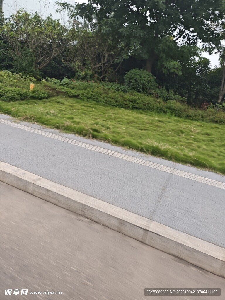 路邊綠意盎然的草地與樹木
