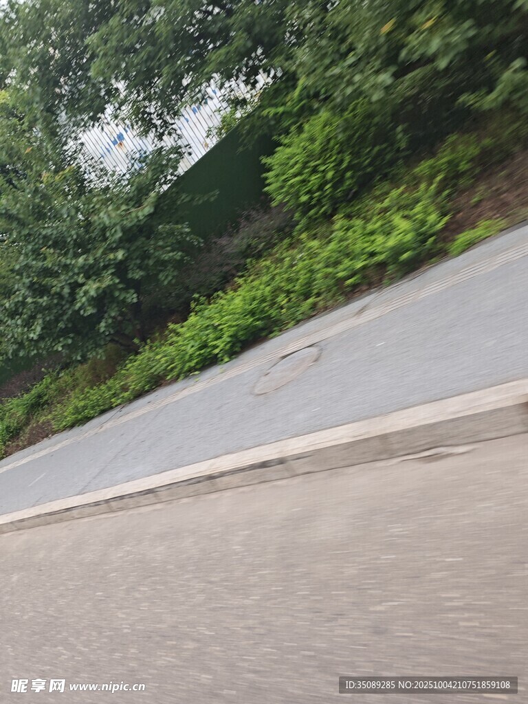 道路旁綠意盎然的景致