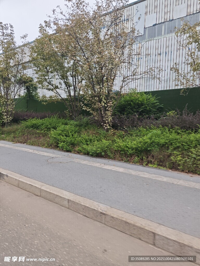 城市路邊綠植景觀
