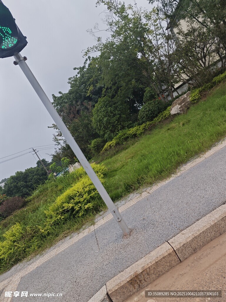 路邊指示牌與周邊綠化景觀