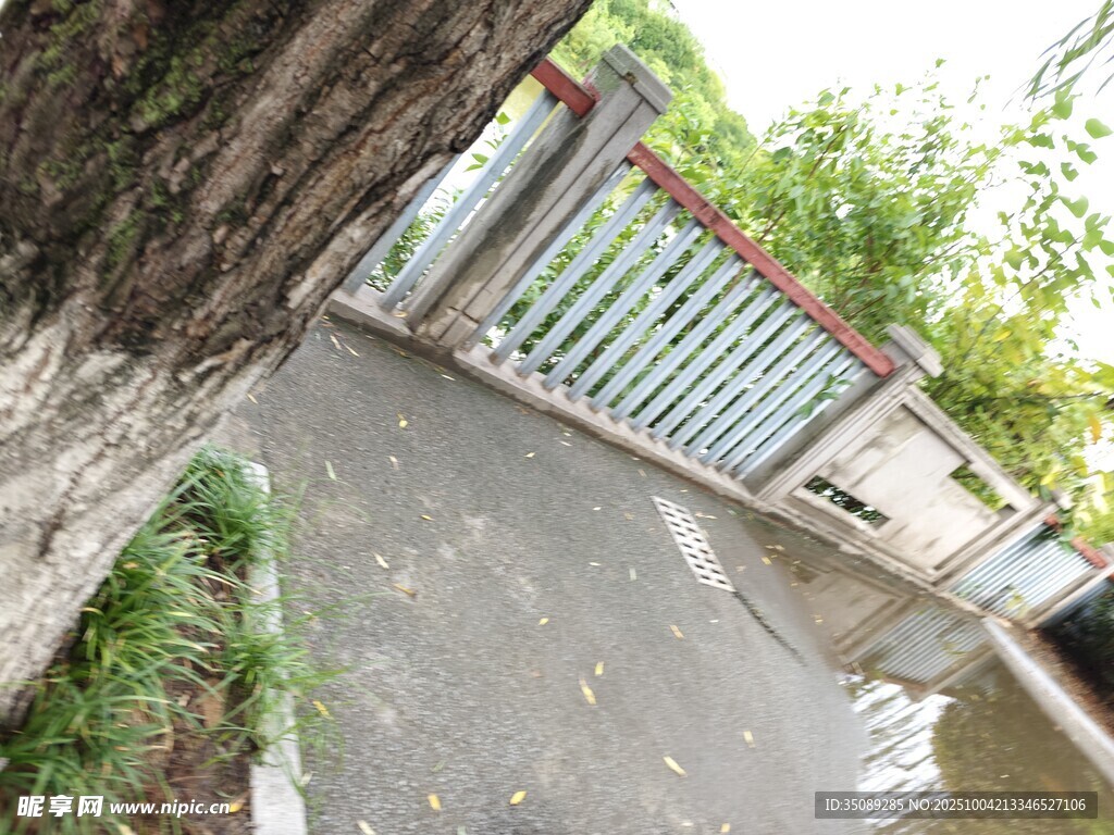 戶外圍欄旁的小路場景