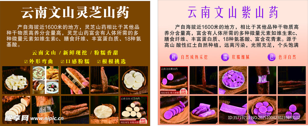 云南山藥購(gòu)促銷(xiāo)活動(dòng)