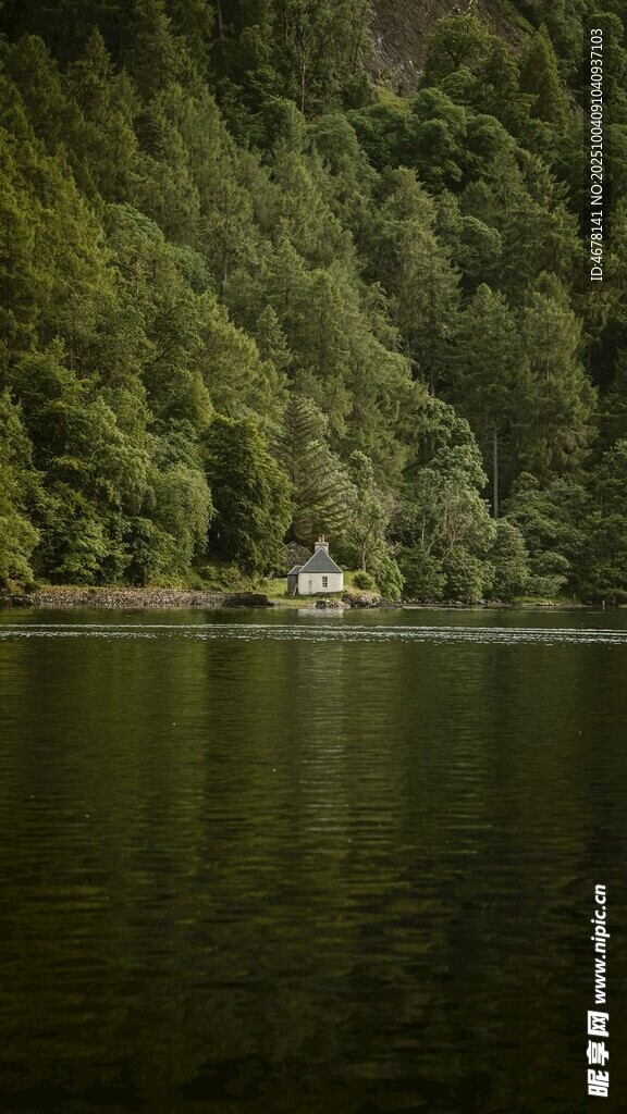 寧靜湖畔的山林美景