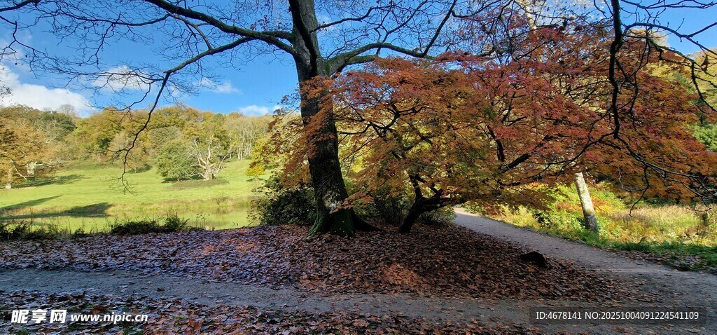 秋日林間小道美景