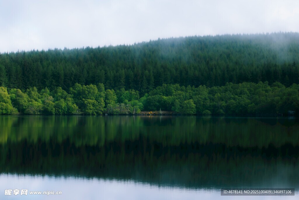 寧靜湖畔森林倒影美景