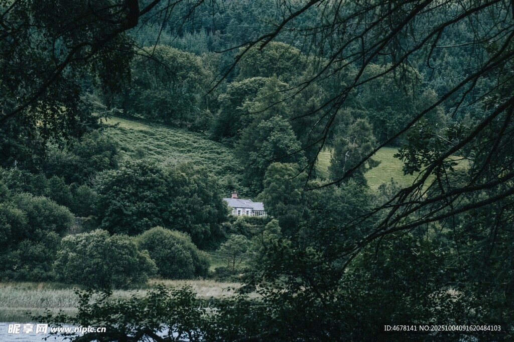 山林湖畔間的靜謐景致