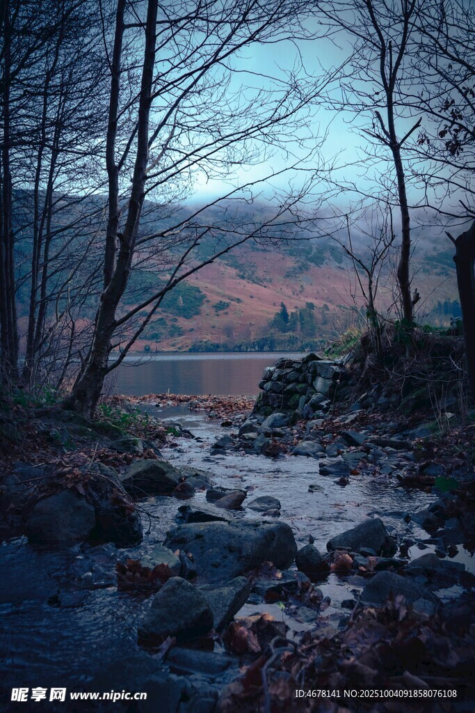 山間溪流之靜謐美景