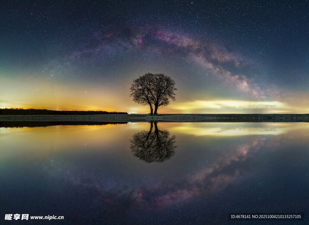 湖畔孤樹映星空美景