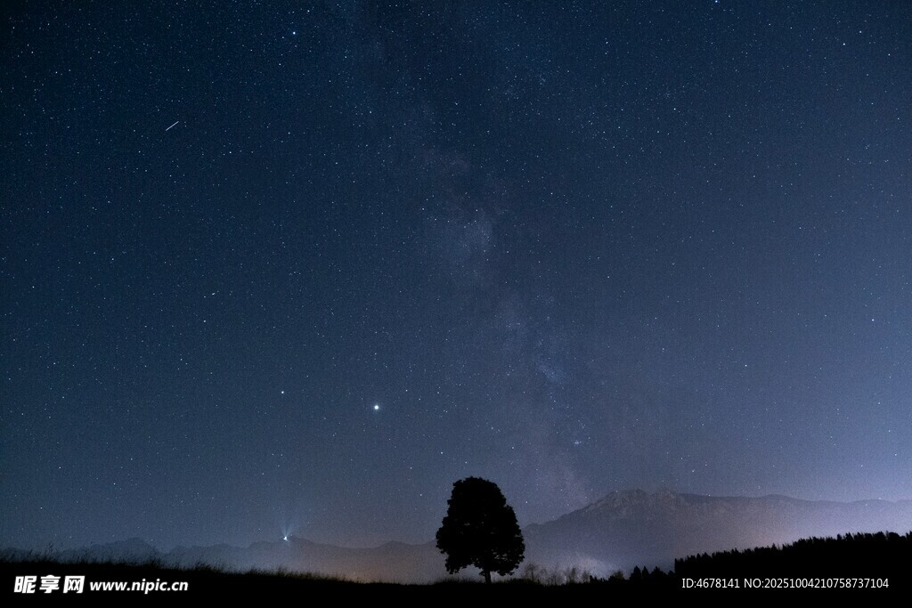 夜空下的孤樹與璀璨星河