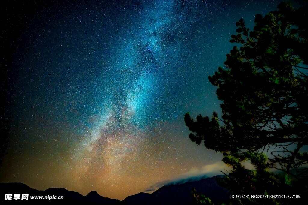 夜空下的璀璨星河與樹木