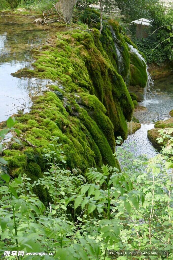 溪邊覆滿青苔的嶙峋怪石