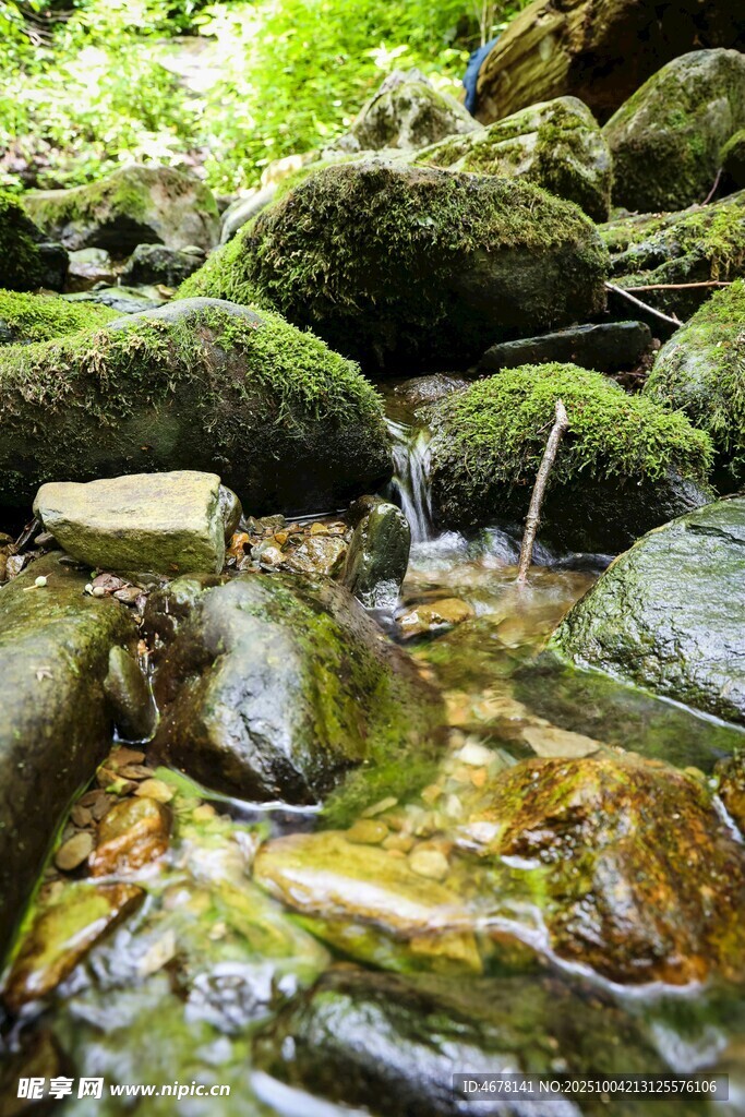 山間潺潺溪流苔蘚覆石