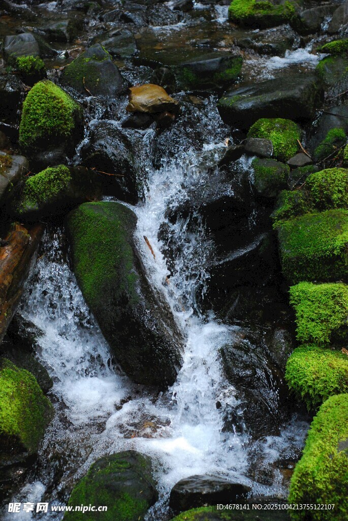 山間溪流淌過青苔覆蓋巖石