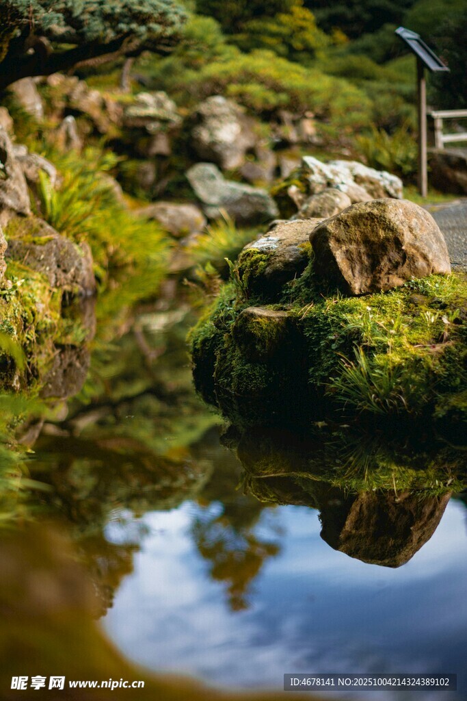 日式禪意水景中的青苔巖石