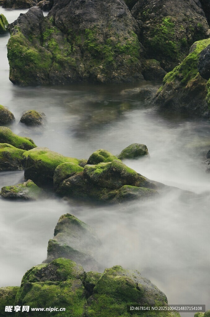 青苔覆石流水潺潺之景