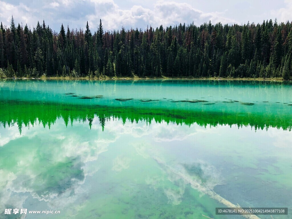 碧綠湖水映森林美景