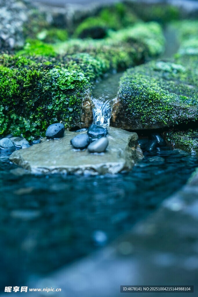 溪邊青苔與潺潺流水