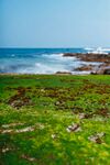 海邊翠綠草地與蔚藍(lán)大海