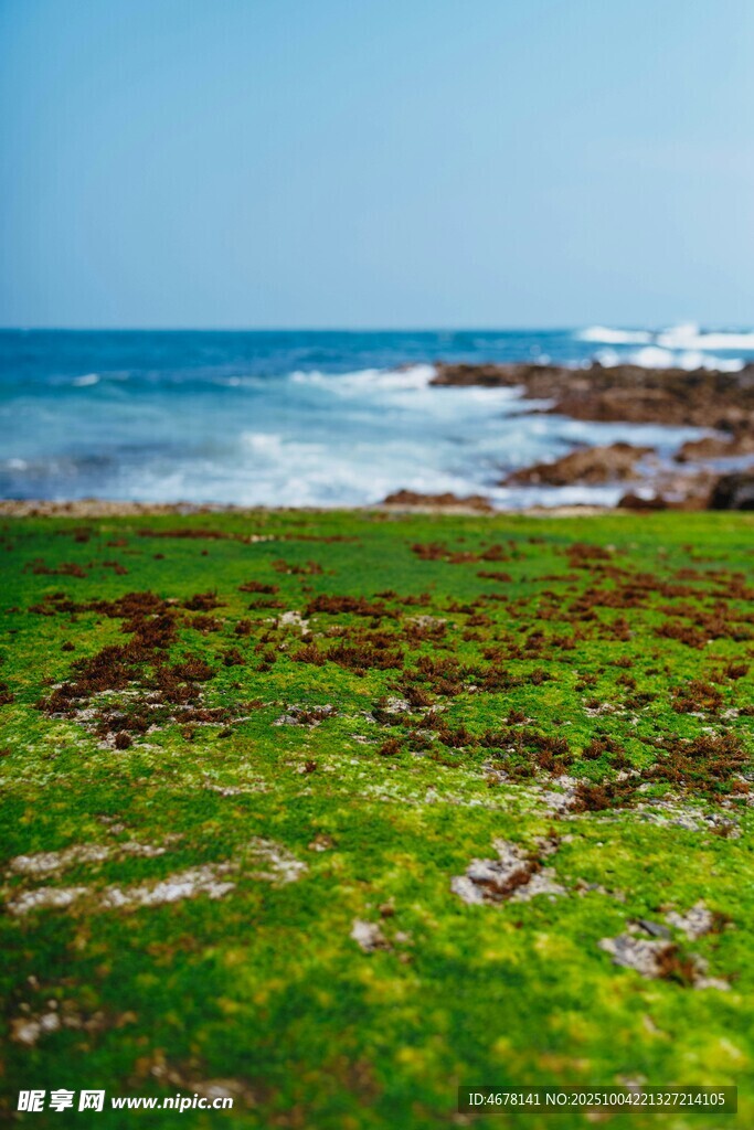 海邊翠綠草地與蔚藍(lán)大海