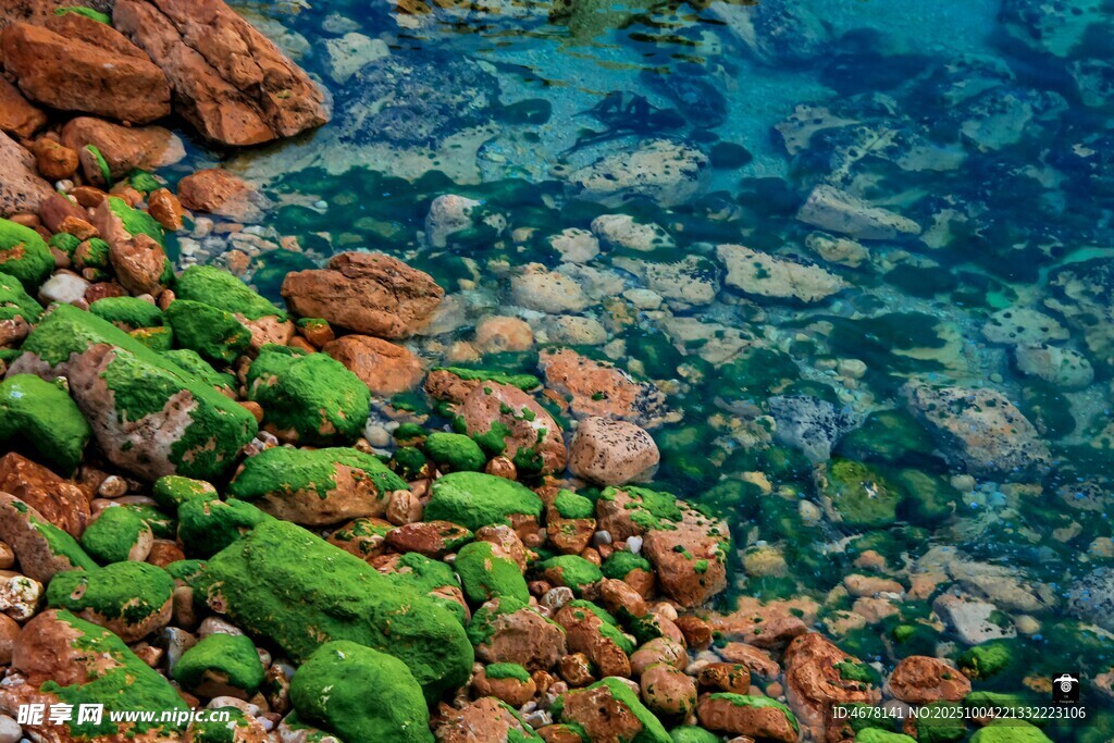 海邊覆綠苔的多彩礁石