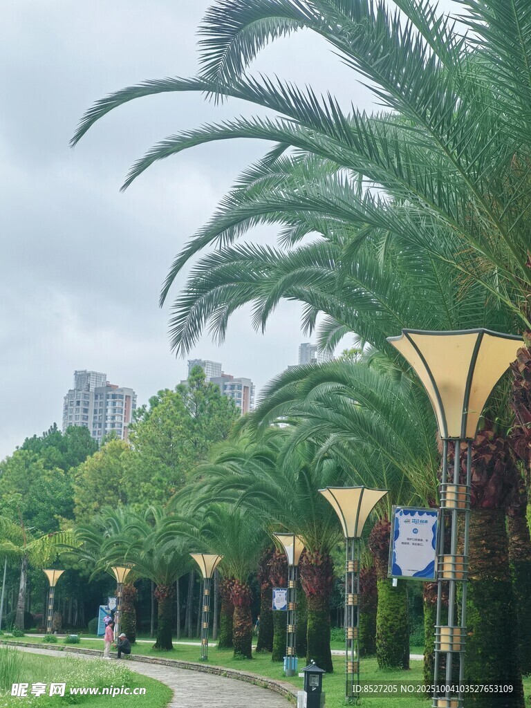 林蔭下的城市休閑步道