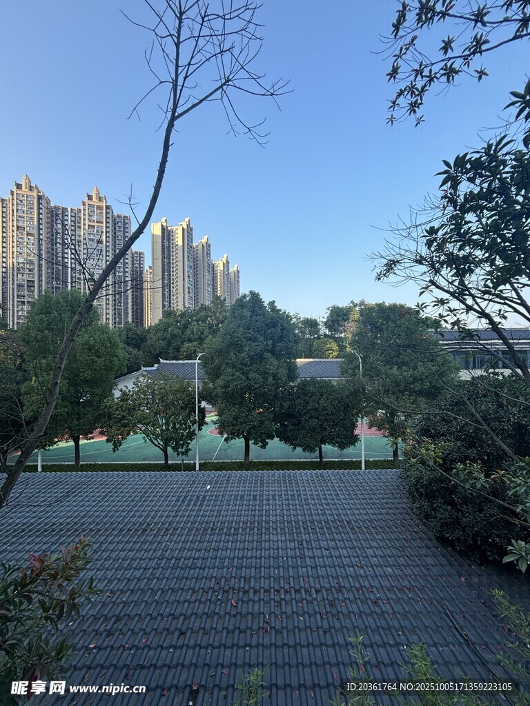 城市中靜謐的園林景觀