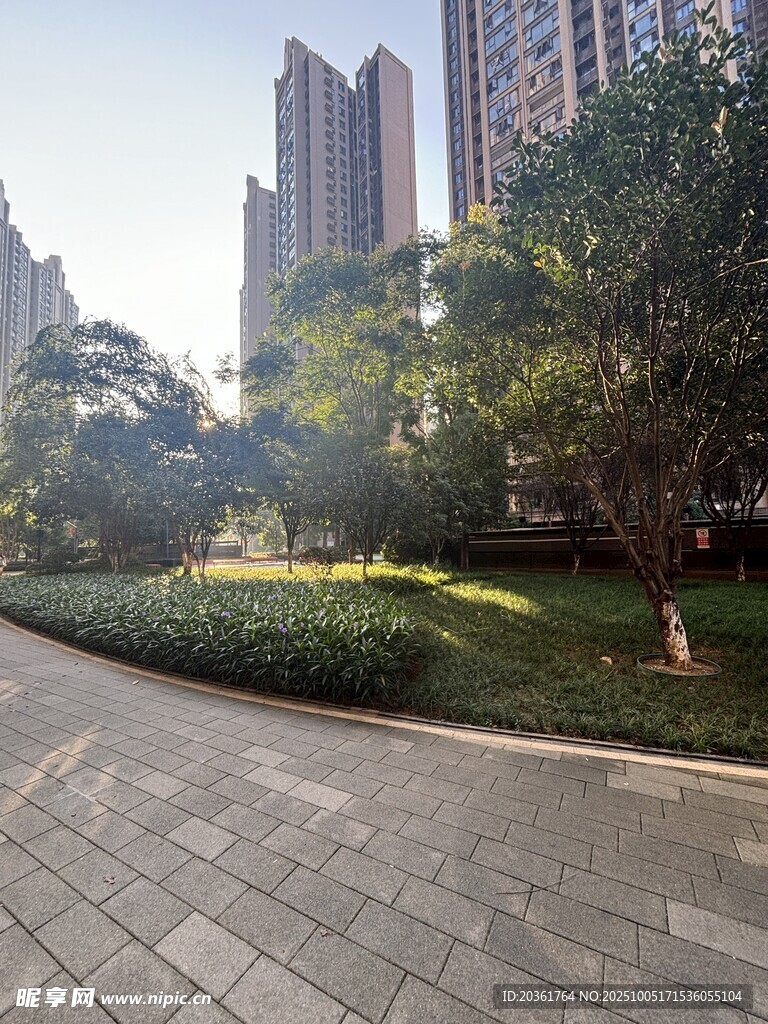 城市中靜謐的綠化步道