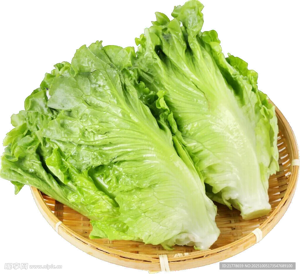 竹盤里的新鮮生菜