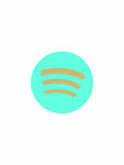 玉衡子的Spotify非描摹