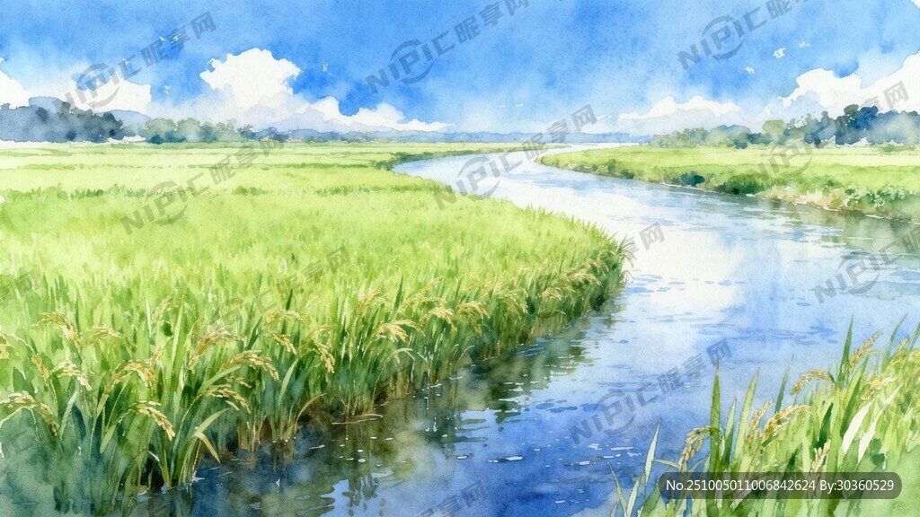 藍藍的天空 一望無垠的稻田