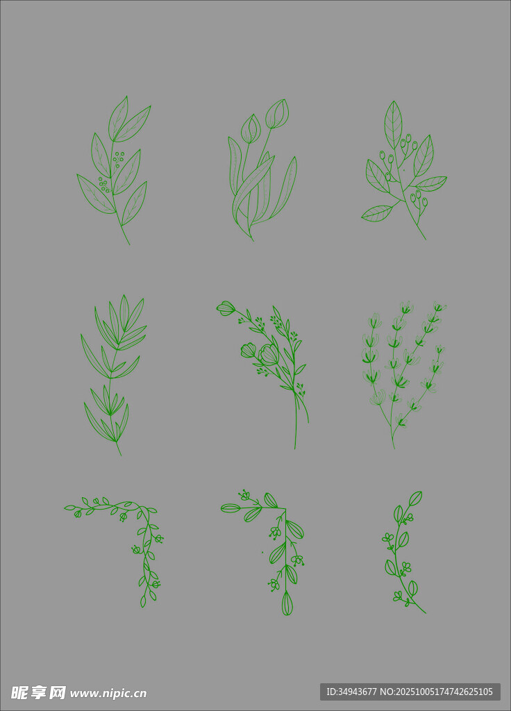 綠色植物枝葉矢量素材