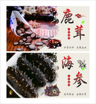 鹿茸海參等滋補食材展示