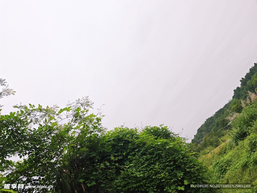 山間蔥郁綠植景觀