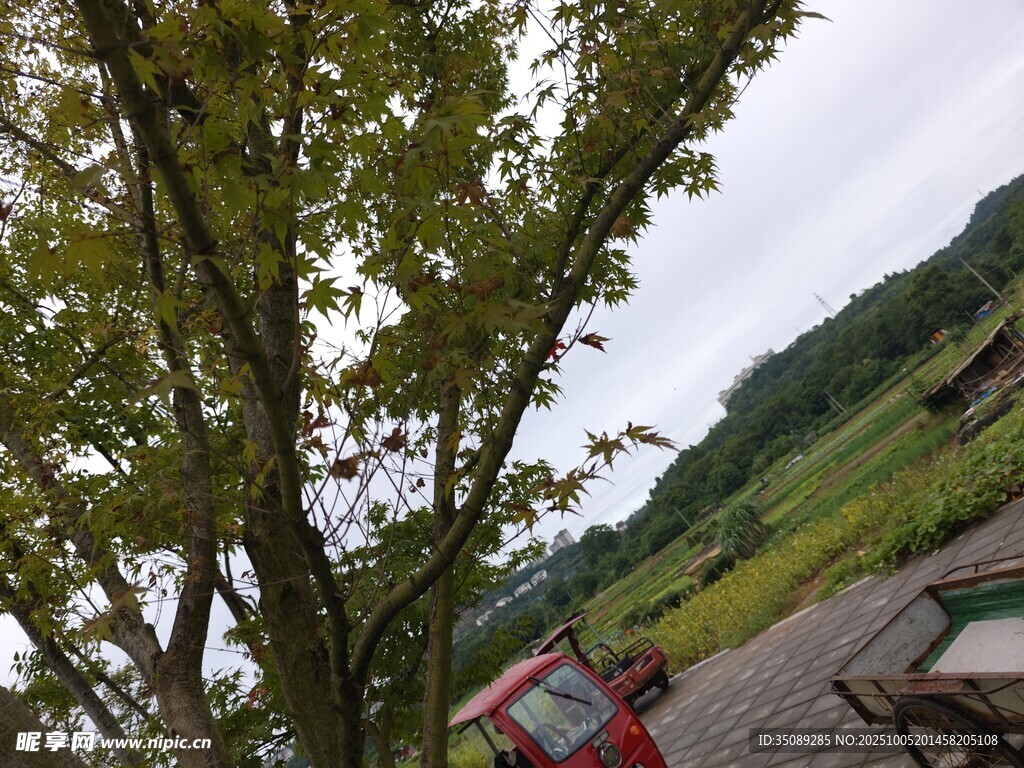 戶外綠樹(shù)旁的休閑場(chǎng)景